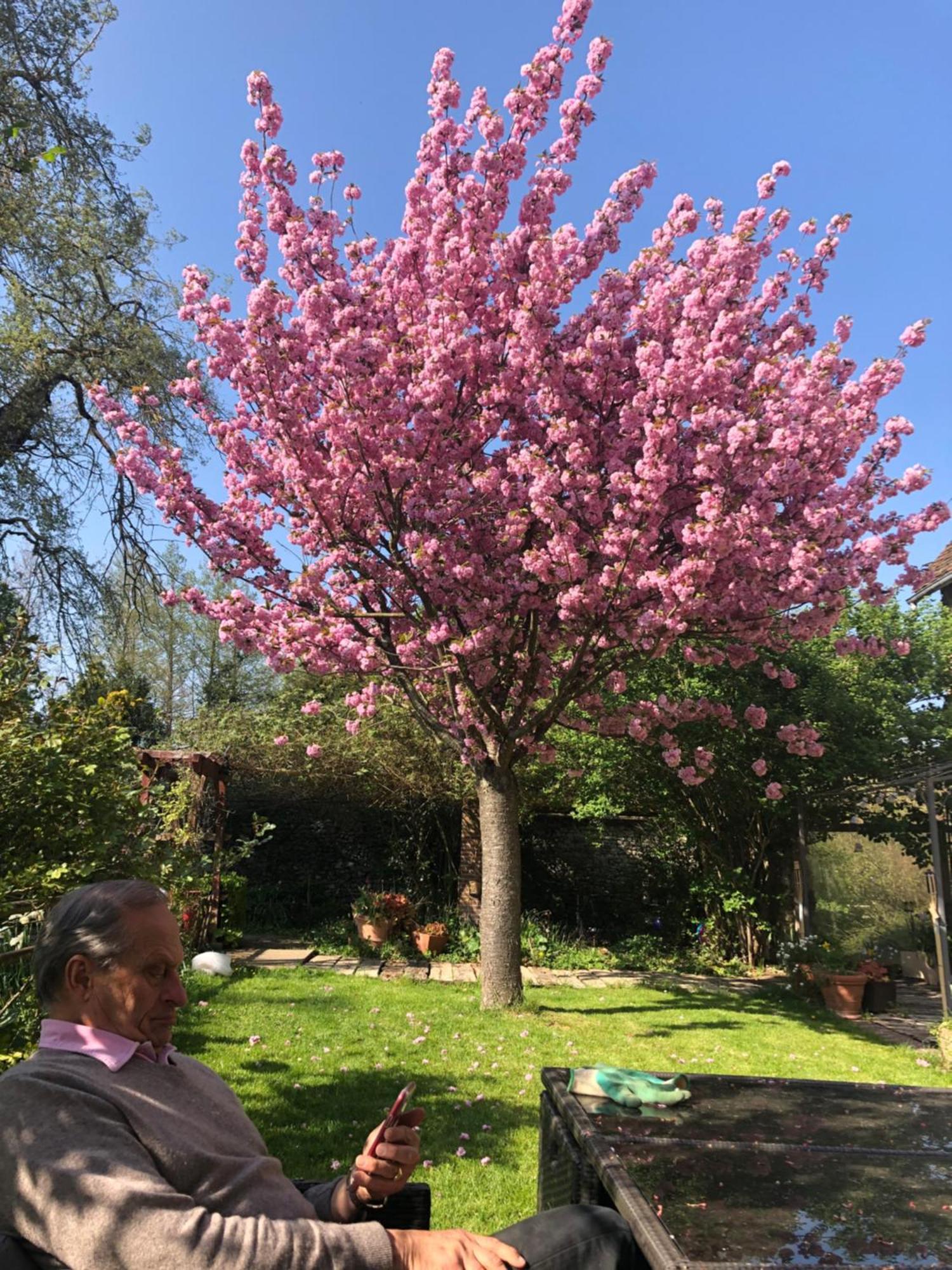 Le Moulin De Dannemarie Villa Dannemarie  Kültér fotó